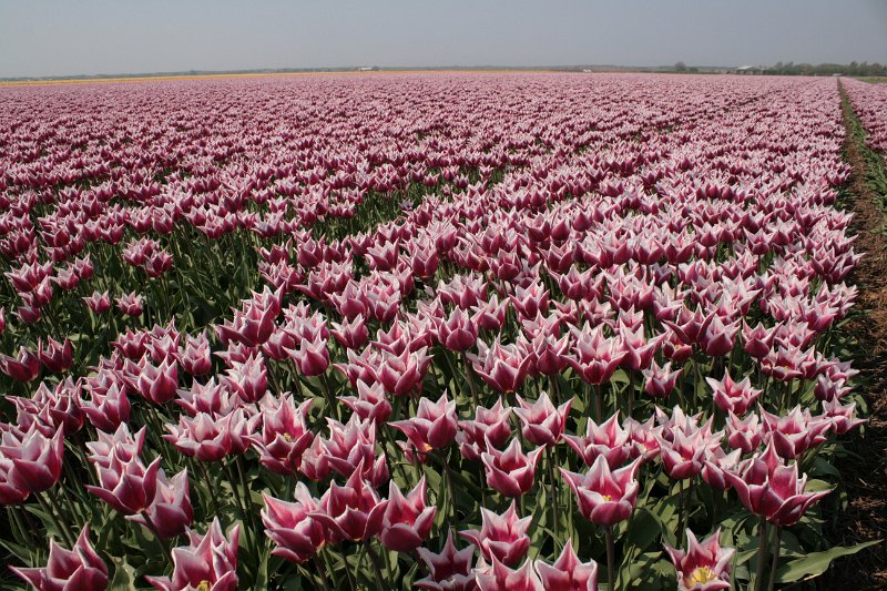 EBL_20110424_010476.JPG
