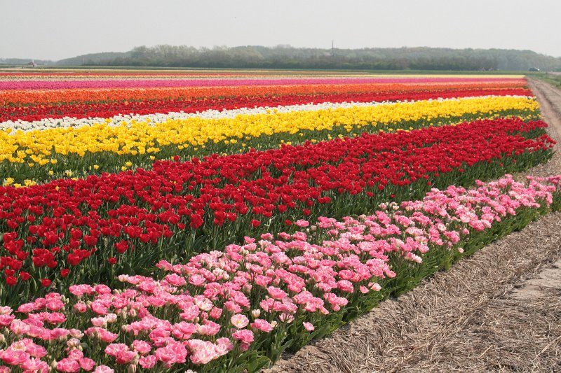 EBL_20110424_010488.JPG