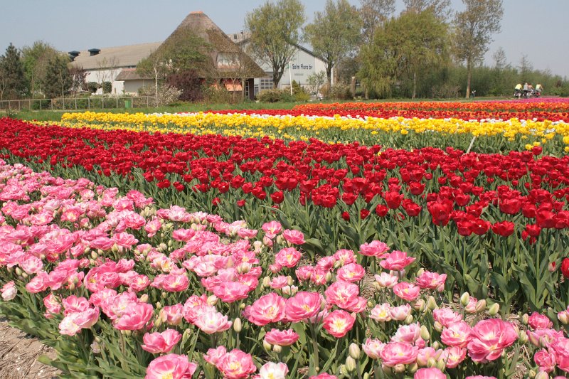 EBL_20110424_010491.JPG