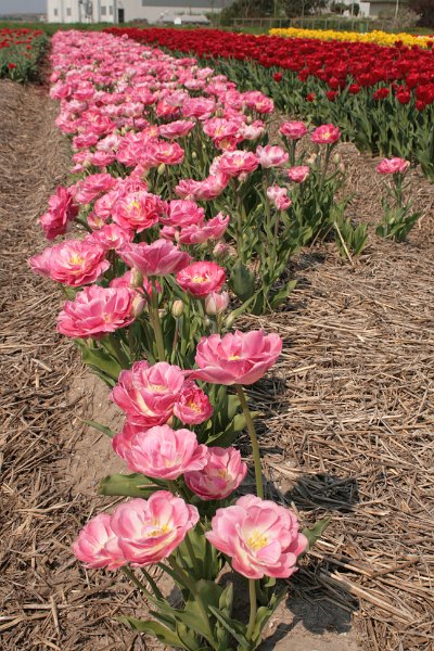 EBL_20110424_010492.JPG