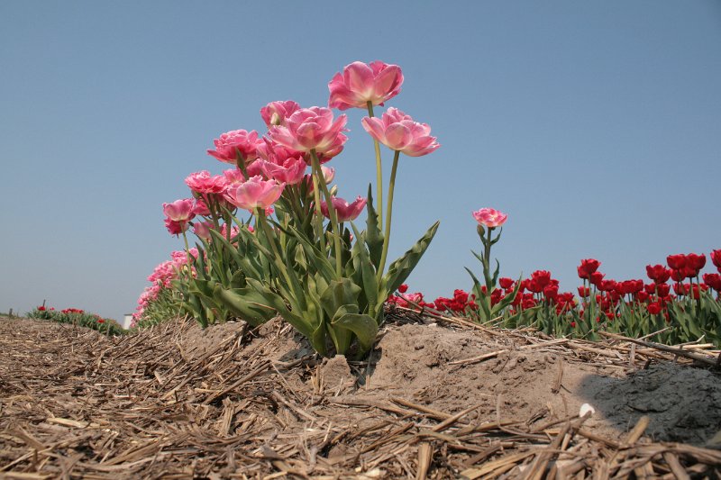 EBL_20110424_010493.JPG