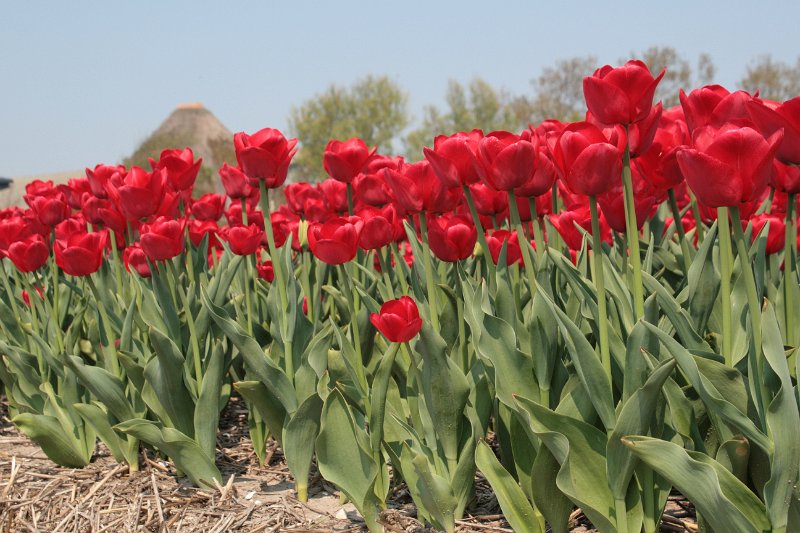 EBL_20110424_010496.JPG