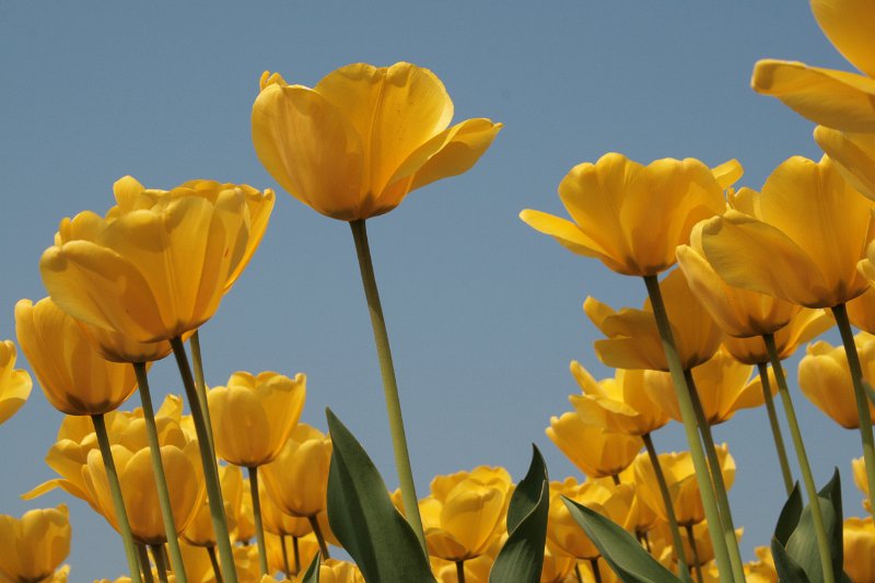 EBL_20110424_010505.JPG