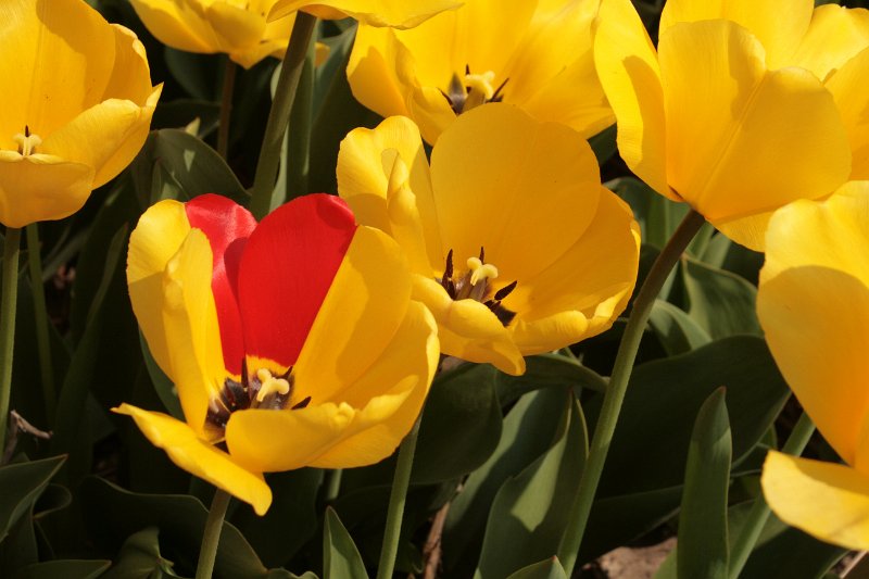 EBL_20110424_010508.JPG