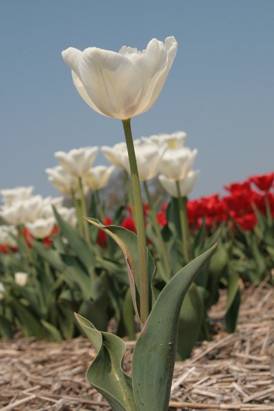 EBL_20110424_010511.JPG
