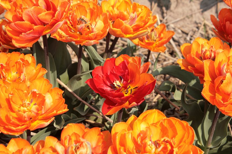 EBL_20110424_010522.JPG