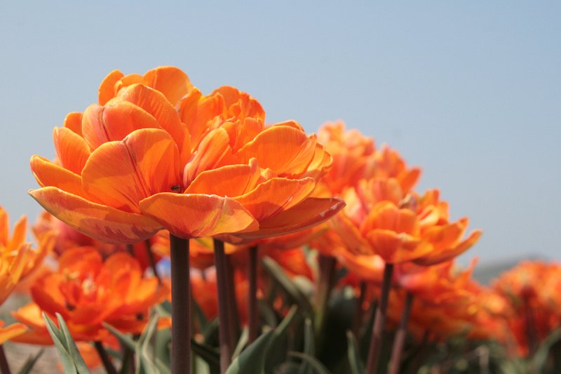 EBL_20110424_010523.JPG