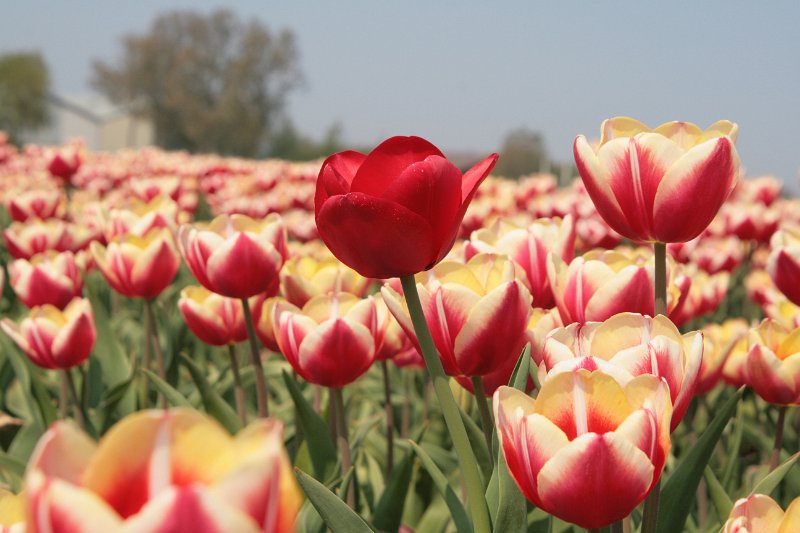 EBL_20110424_010536.JPG