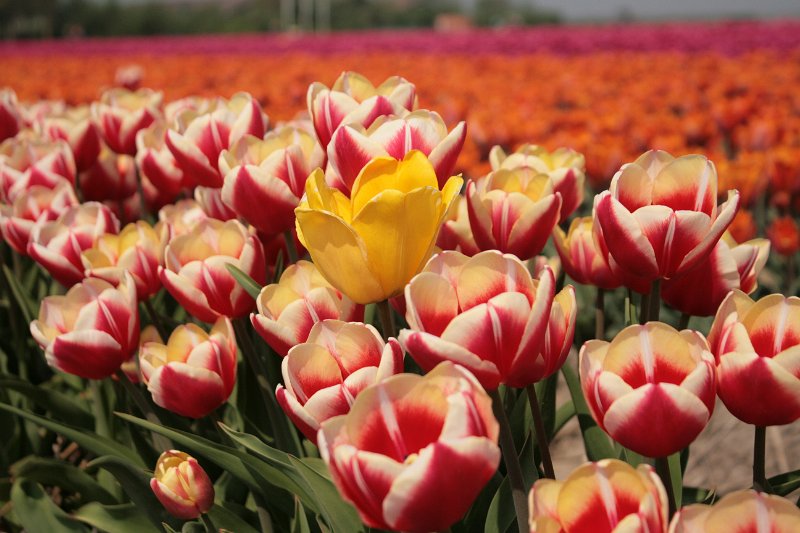 EBL_20110424_010545.JPG