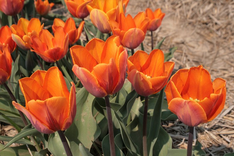EBL_20110424_010550.JPG