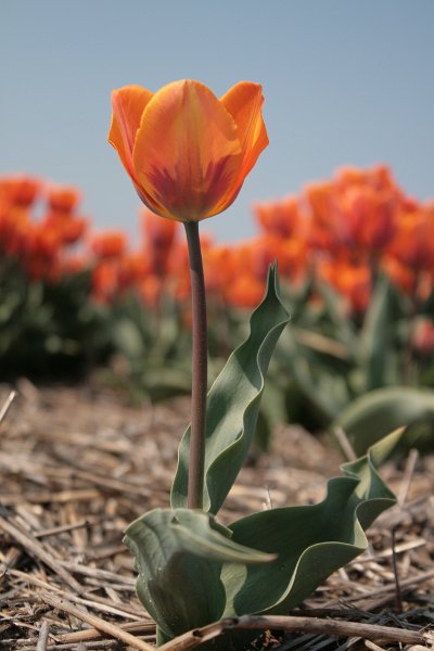 EBL_20110424_010555.JPG