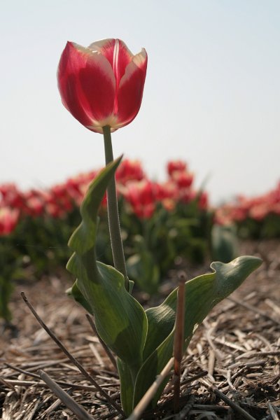 EBL_20110424_010626.JPG