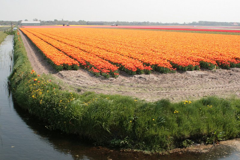 EBL_20110424_010627.JPG