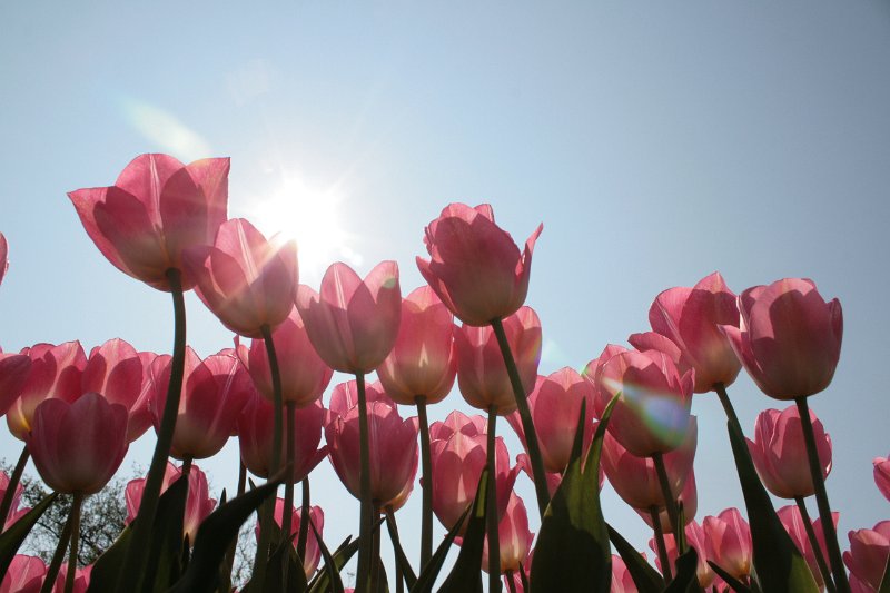 EBL_20110424_010672.JPG