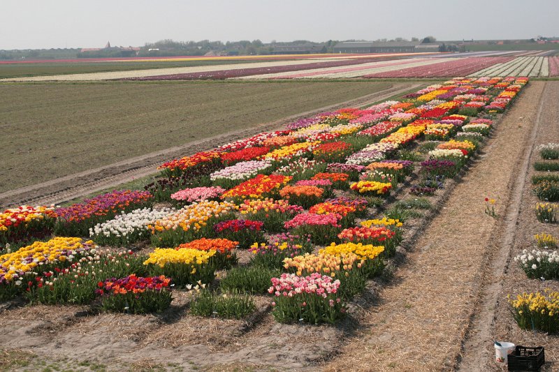 EBL_20110424_010696.JPG