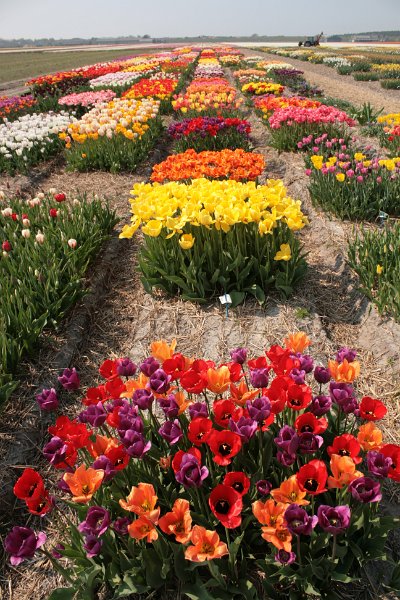 EBL_20110424_010704.JPG