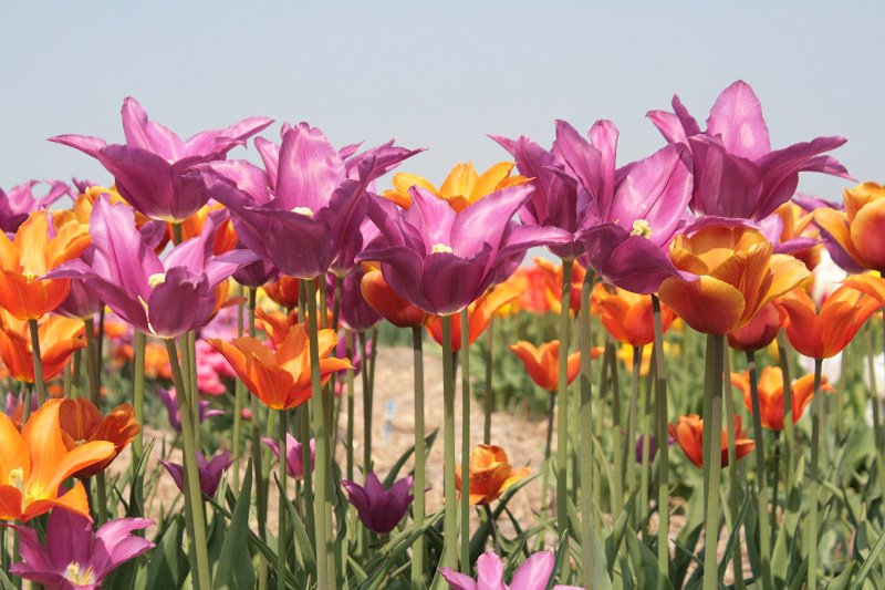 EBL_20110424_010713.JPG