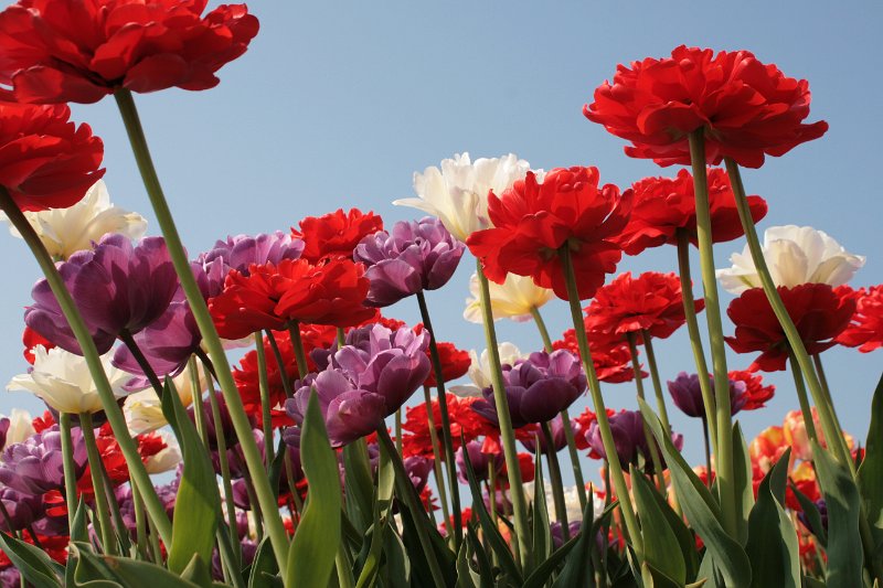 EBL_20110424_010719.JPG