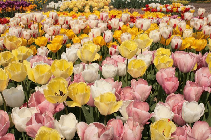EBL_20110424_010725.JPG