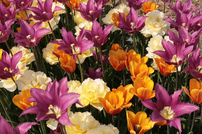 EBL_20110424_010727.JPG