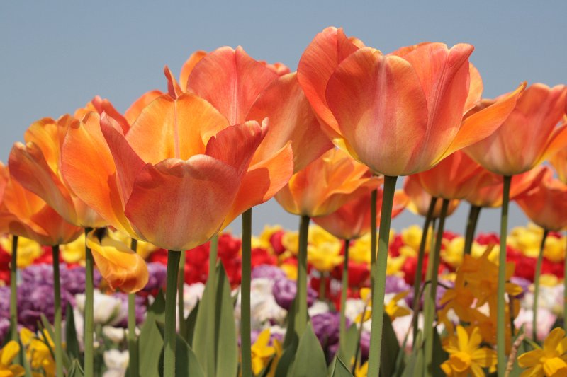 EBL_20110424_010736.JPG