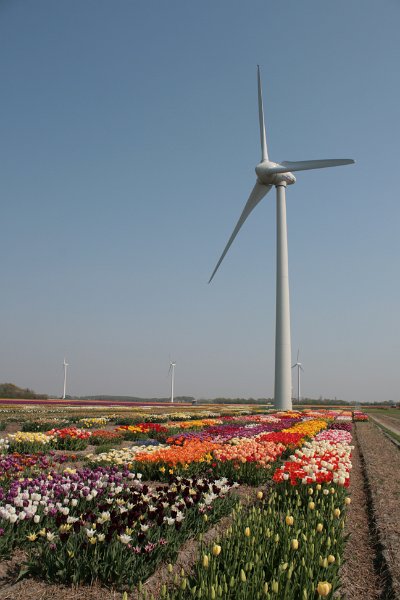 EBL_20110424_010752.JPG