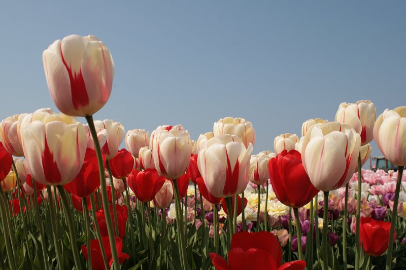 EBL_20110424_010764.JPG