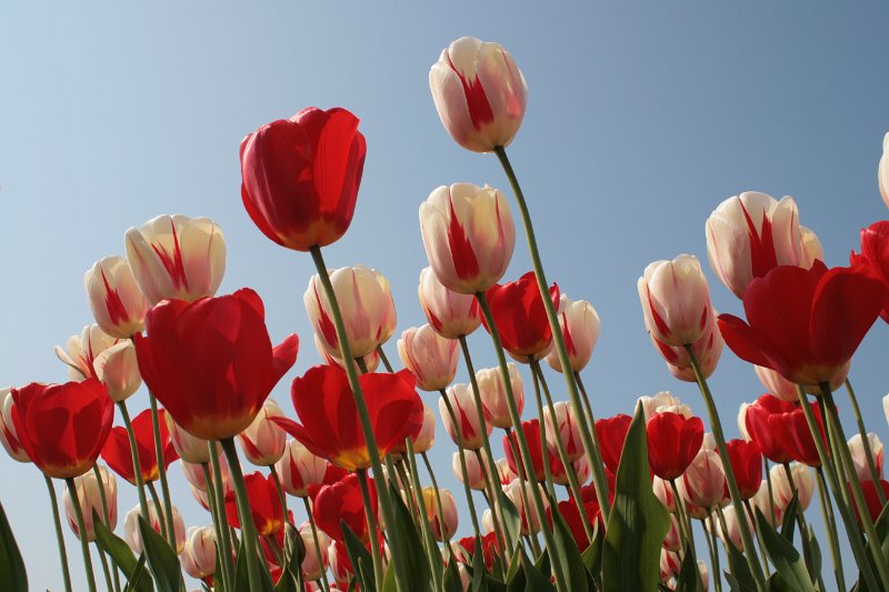 EBL_20110424_010765.JPG