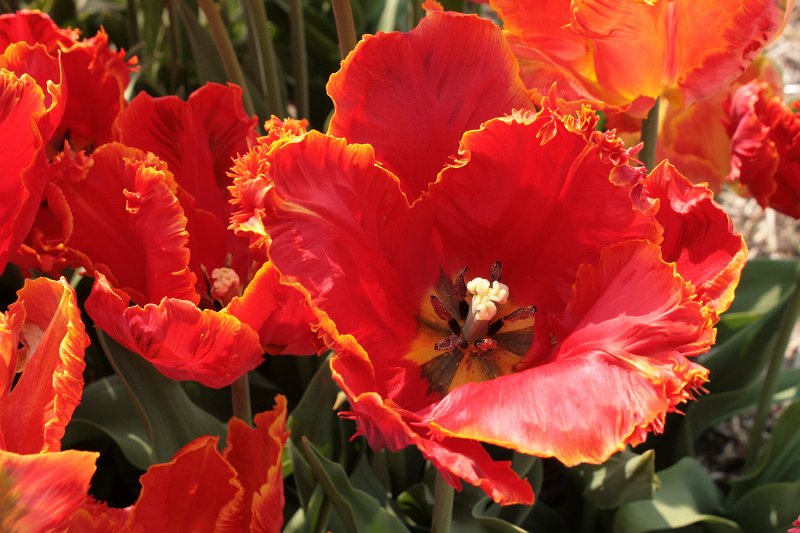 EBL_20110424_010815.JPG