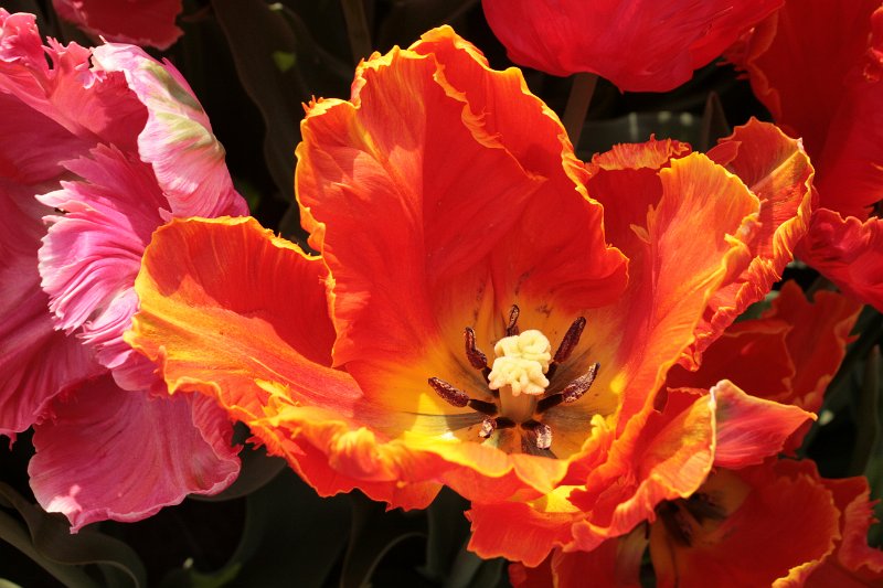 EBL_20110424_010816.JPG