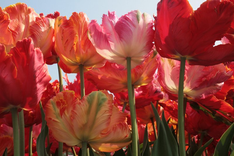 EBL_20110424_010817.JPG