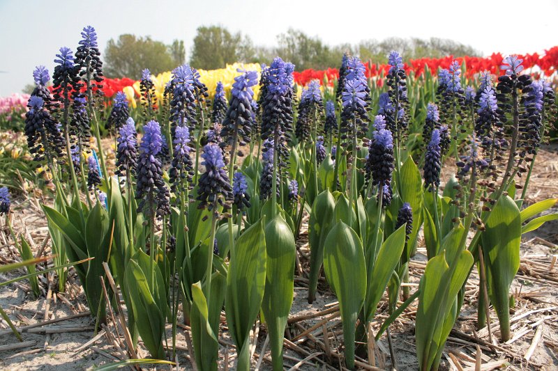 EBL_20110424_010829.JPG