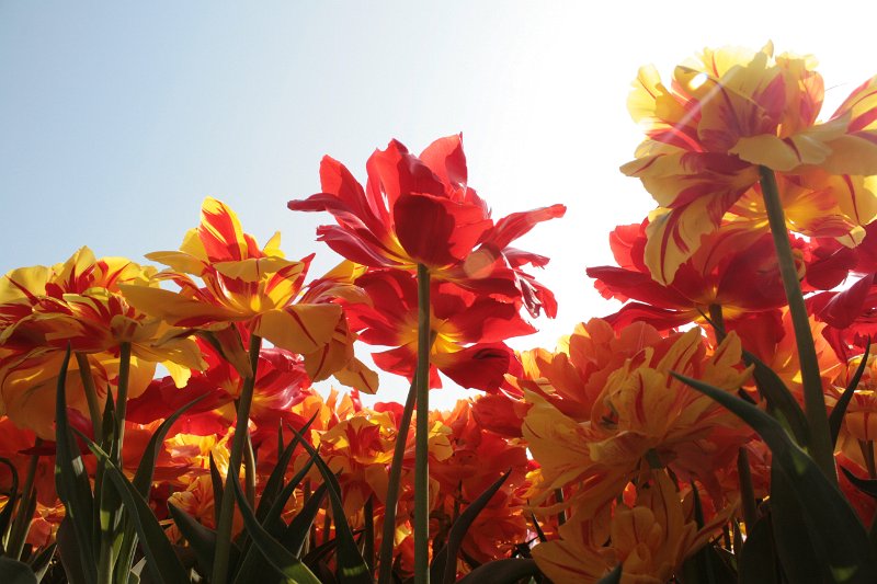 EBL_20110424_010842.JPG