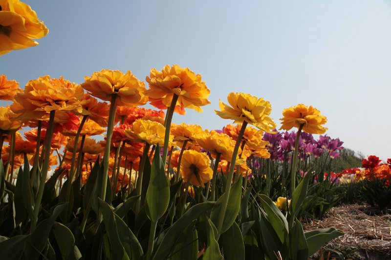 EBL_20110424_010850.JPG