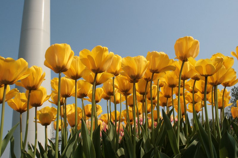 EBL_20110424_010871.JPG