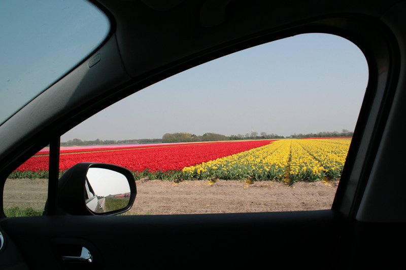 EBL_20110424_010887.JPG