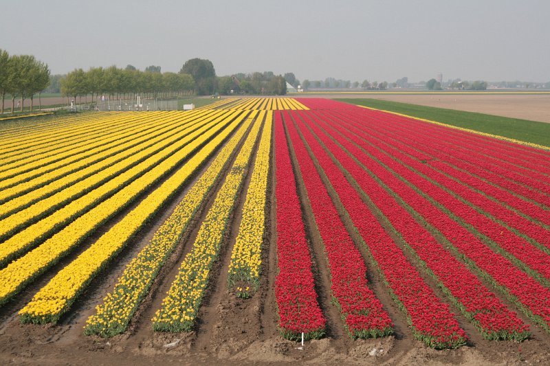 EBL_20110424_010896.JPG