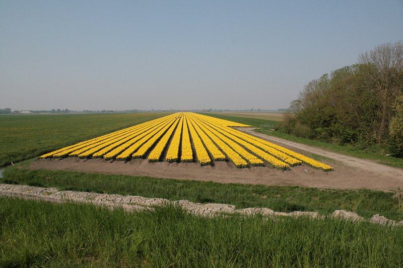 EBL_20110424_010901.JPG