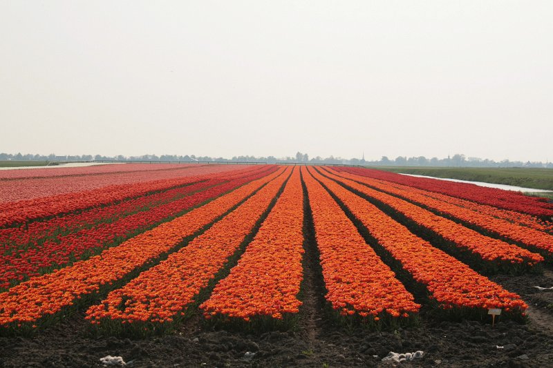 EBL_20110424_010911.JPG