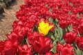 EBL_20110424_010420
