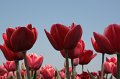 EBL_20110424_010434