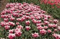 EBL_20110424_010438
