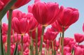 EBL_20110424_010445