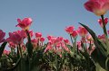 EBL_20110424_010447