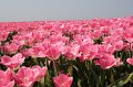 EBL_20110424_010456