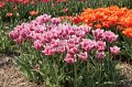 EBL_20110424_010470