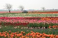 EBL_20110424_010472