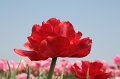 EBL_20110424_010490