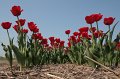 EBL_20110424_010500