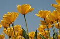 EBL_20110424_010505
